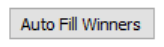 Winnaars automatisch invullen.png
